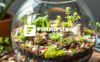 Como Montar um Terrário: Guia Prático para Iniciante