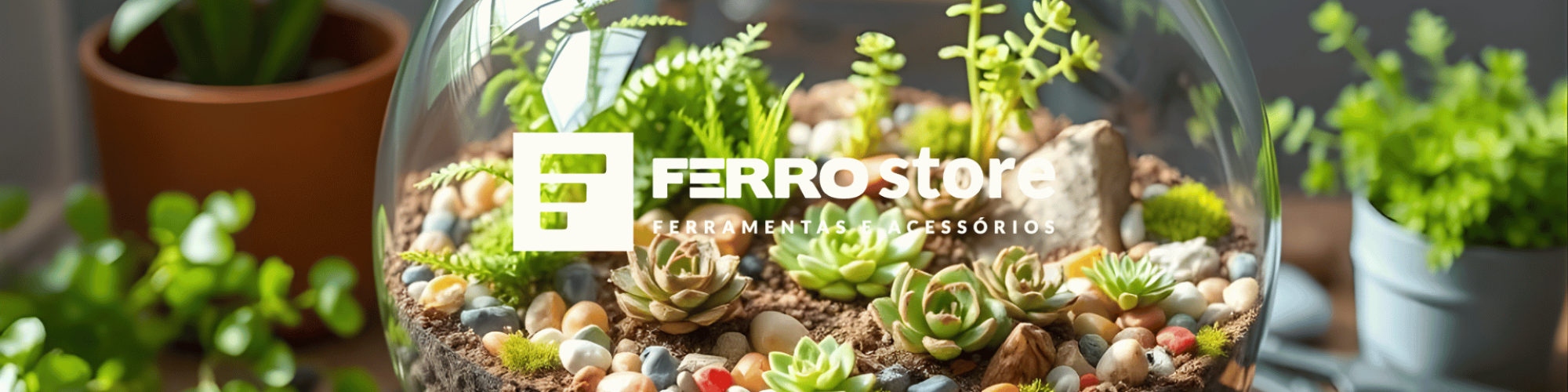 Como Montar um Terrário: Guia Prático para Iniciante